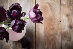 Purple tulips in white vase on wooden background Stock Photography Purple tulips in white vase on wooden background Stock Photography
