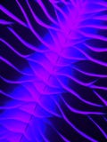 Purple Violet Spinal Network
