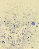 Purple watercolor stains on a yellow background. Silhouette of a butterfly royalty free stock photo Purple watercolor stains on a yellow background. Silhouette of a butterfly royalty free stock photo