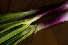 Purpurowy scallion, cebula kreskowy skład obrazy royalty free Purpurowy scallion, cebula kreskowy skład obrazy royalty free