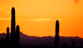 Purpurowych gór majestat Apache złącze, Arizona obrazy stock Purpurowych gór majestat Apache złącze, Arizona obrazy stock