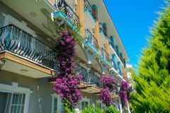 Purpurrote Blumen am Balkon lizenzfreies stockbild Purpurrote Blumen am Balkon lizenzfreies stockbild
