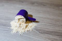 Purpurrote Schaufel der Nahaufnahme in den Proteinpulverdias lizenzfreie stockfotografie Purpurrote Schaufel der Nahaufnahme in den Proteinpulverdias lizenzfreie stockfotografie