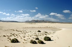 Pustynia Fuerteventura w terenie Corallejo, Hiszpania Fotografia Stock Pustynia Fuerteventura w terenie Corallejo, Hiszpania Fotografia Stock