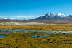 Putana River Vado Rio Putana, San Pedro De Atacama, The Atacama Desert, Antofagasta, Chile Royalty Free Stock Images Putana River Vado Rio Putana, San Pedro De Atacama, The Atacama Desert, Antofagasta, Chile Royalty Free Stock Images