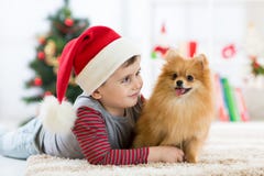Pys som omfamnar valphunden på jul, bakgrund för nytt år royaltyfria foton Pys som omfamnar valphunden på jul, bakgrund för nytt år royaltyfria foton