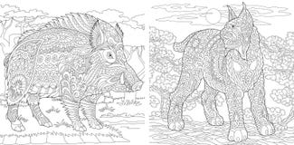 Páginas del colorante Libro de colorear para los adultos Imágenes que colorean con el gato montés y el jabalí Dibujo de bosquejo stock de ilustración Páginas del colorante Libro de colorear para los adultos Imágenes que colorean con el gato montés y el jabalí Dibujo de bosquejo stock de ilustración
