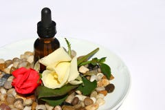 Pétalo de Rose Aromatherapy fotografía de archivo libre de regalías Pétalo de Rose Aromatherapy fotografía de archivo libre de regalías