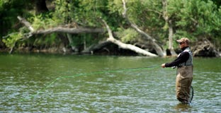 Pêche de mouche Pêche de mouche