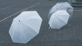 Półprzezroczysty przez parasola Na ziemi zdjęcie stock Półprzezroczysty przez parasola Na ziemi zdjęcie stock