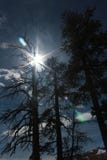 Pękać życie fotografia stock Pękać życie fotografia stock