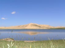 Qinghai Lake Nature Reserve Pratas Royalty Free Stock Image Qinghai Lake Nature Reserve Pratas Royalty Free Stock Image