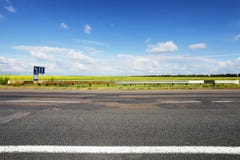 Quadratische Anordnung des Personals Feld von Sonnenblumen auf Horizont stockbilder Quadratische Anordnung des Personals Feld von Sonnenblumen auf Horizont stockbilder