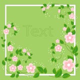 Quadro bonito para a fotografia e o texto Flores delicadas do jacarandá Fundo da mola Ilustra??o do vetor ilustração royalty free Quadro bonito para a fotografia e o texto Flores delicadas do jacarandá Fundo da mola Ilustra??o do vetor ilustração royalty free