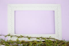 Quadro branco com ramos do salgueiro verde em um fundo cor-de-rosa Espa?o da c?pia no meio para seu texto foto de stock royalty free Quadro branco com ramos do salgueiro verde em um fundo cor-de-rosa Espa?o da c?pia no meio para seu texto foto de stock royalty free