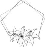 Quadro do l?rio, tiragem das flores e esbo?o com linha-arte nos fundos brancos ilustração stock Quadro do l?rio, tiragem das flores e esbo?o com linha-arte nos fundos brancos ilustração stock