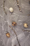Quail Easter eggs on grey background with willow branch royalty free stock photo Quail Easter eggs on grey background with willow branch royalty free stock photo
