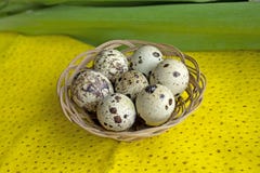 Quail eggs in a basket. Easter. Dietary food. Healthy lifestyle concept stock image Quail eggs in a basket. Easter. Dietary food. Healthy lifestyle concept stock image