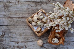 Quail eggs in small basket and willow - symbol of the Easter stock photography Quail eggs in small basket and willow - symbol of the Easter stock photography