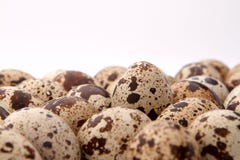 Quail eggs on white background royalty free stock photo Quail eggs on white background royalty free stock photo