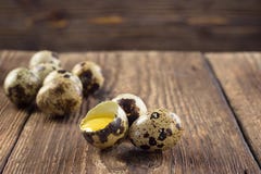 Quail eggs stock photos Quail eggs stock photos