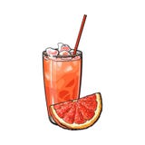 Quart de pamplemousse et verre de jus fraîchement serré avec de la glace illustration stock Quart de pamplemousse et verre de jus fraîchement serré avec de la glace illustration stock