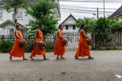Quatre moines bouddhistes rassemblent l'aumône dans Luang Prabang, Laos images stock Quatre moines bouddhistes rassemblent l'aumône dans Luang Prabang, Laos images stock