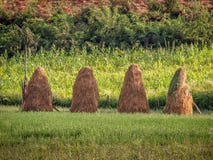 Quattro balle di fieno sul prato immagini stock libere da diritti Quattro balle di fieno sul prato immagini stock libere da diritti