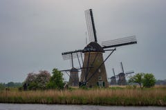 Quattro mulini a vento in un ambiente scenico a Kinderdijk, Olanda immagine stock Quattro mulini a vento in un ambiente scenico a Kinderdijk, Olanda immagine stock
