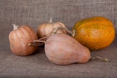 Quattro zucche differenti di dimensione che mettono su tavola fotografie stock Quattro zucche differenti di dimensione che mettono su tavola fotografie stock