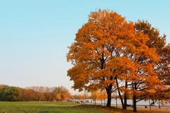 Embankment of the Moscow River in Kolomenskoye Park stock photos Embankment of the Moscow River in Kolomenskoye Park stock photos