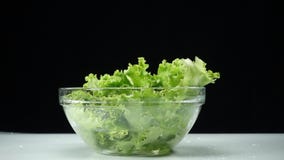 Quedas novas suculentas dos verdes em um copo de ?gua para lavar Alimentos org?nicos e saud?veis Vitaminas nas frutas e legumes video estoque Quedas novas suculentas dos verdes em um copo de ?gua para lavar Alimentos org?nicos e saud?veis Vitaminas nas frutas e legumes video estoque
