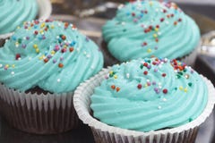 Queques coloridos geados com uma variedade de sabores da geada imagem de stock Queques coloridos geados com uma variedade de sabores da geada imagem de stock