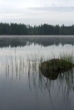 Quiet And Misty Morning Royalty Free Stock Images Quiet And Misty Morning Royalty Free Stock Images