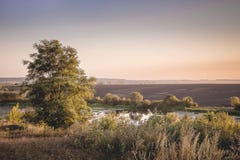 Quiet Summer Evening. Tree On Bank Of River_ Stock Photos