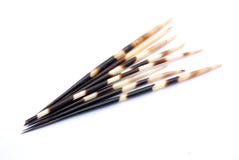 quills дикобраза quills дикобраза