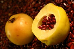 Quince Royalty Free Stock Image Quince Royalty Free Stock Image