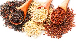 Quinoa Κόκκινα, γραπτά quinoa σιτάρια ξύλινα κουτάλια που απομονώνονται στο άσπρο υπόβαθρο Chenopodium - quinoa στοκ εικόνα Quinoa Κόκκινα, γραπτά quinoa σιτάρια ξύλινα κουτάλια που απομονώνονται στο άσπρο υπόβαθρο Chenopodium - quinoa στοκ εικόνα