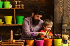 r r Забота цветка Удобрения почвы m t бородатый ребенок человека и мальчика стоковое фото rf r r Забота цветка Удобрения почвы m t бородатый ребенок человека и мальчика стоковое фото rf