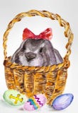 Rabbit for Easter holiday. An easter rabbit in a basket by a holiday vector illustration Rabbit for Easter holiday. An easter rabbit in a basket by a holiday vector illustration