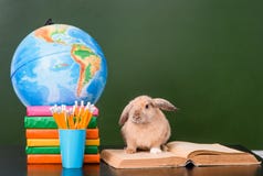 Rabbit sitting on the books near empty green chalkboard