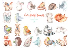 Raccolta, insieme delle illustrazioni sveglie degli animali della foresta dell'acquerello Fotografia Stock Libera da Diritti Raccolta, insieme delle illustrazioni sveglie degli animali della foresta dell'acquerello Fotografia Stock Libera da Diritti