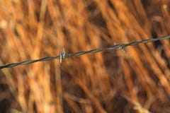Rad av försett med en hulling - binda med högväxt gräs i bakgrunden arkivfoto Rad av försett med en hulling - binda med högväxt gräs i bakgrunden arkivfoto