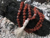 Radbandbönpärlor på askaaskabakgrunden Rudraksha mala mantra 108 pärlor royaltyfria bilder Radbandbönpärlor på askaaskabakgrunden Rudraksha mala mantra 108 pärlor royaltyfria bilder
