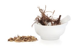 Radice dell'erba della valeriana immagini stock Radice dell'erba della valeriana immagini stock