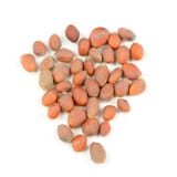 Radish Seeds Close-Up Isolated on White Background stock photo Radish Seeds Close-Up Isolated on White Background stock photo