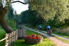 Radtour in Lettland lizenzfreies stockbild Radtour in Lettland lizenzfreies stockbild
