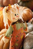 Rag Doll Thanksgiving Halloween Autumn Stock Photography Rag Doll Thanksgiving Halloween Autumn Stock Photography