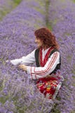Ragazza bulgara in un giacimento della lavanda immagine stock libera da diritti Ragazza bulgara in un giacimento della lavanda immagine stock libera da diritti