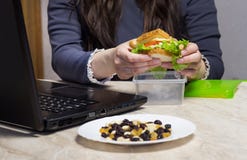 Ragazza che tiene un panino e che lavora ad un computer portatile, fine su, calorie fotografie stock Ragazza che tiene un panino e che lavora ad un computer portatile, fine su, calorie fotografie stock